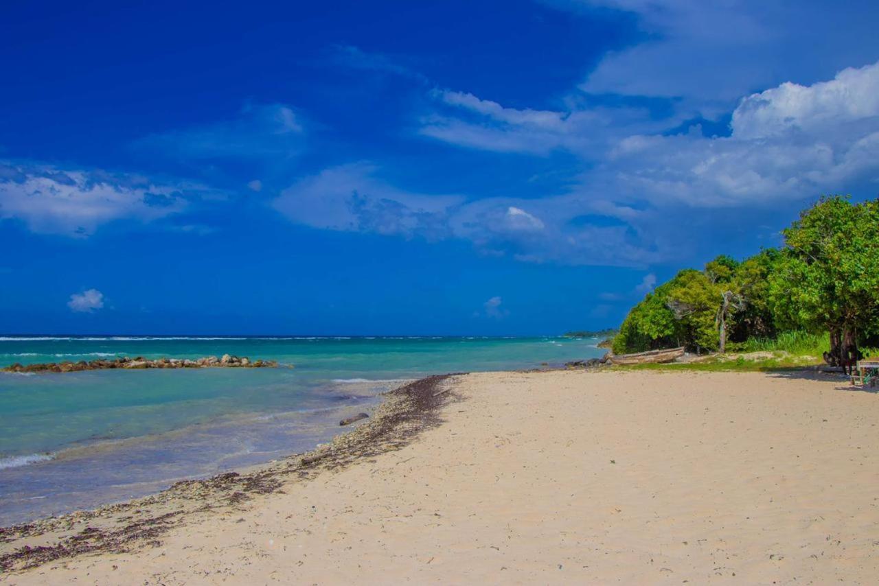 Malibu Ocean View Studio Apartment Montego Bay Exterior photo