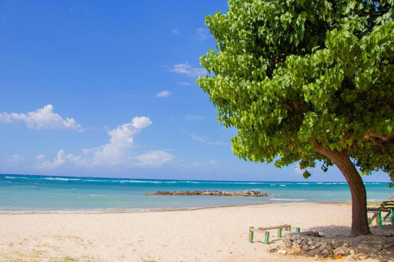 Malibu Ocean View Studio Apartment Montego Bay Exterior photo